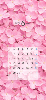 カレンダー No.28 花びらが敷き詰められているカレンダー。<br>紫陽花。<br>  スマホ壁紙用です。
