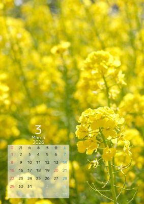 カレンダー No.15 